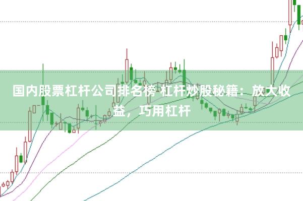 国内股票杠杆公司排名榜 杠杆炒股秘籍：放大收益，巧用杠杆