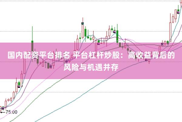 国内配资平台排名 平台杠杆炒股：高收益背后的风险与机遇并存