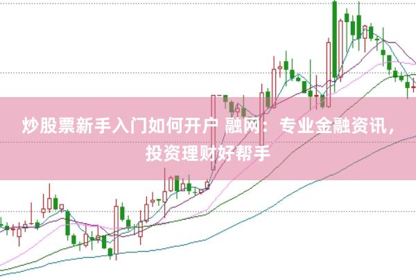 炒股票新手入门如何开户 融网：专业金融资讯，投资理财好帮手