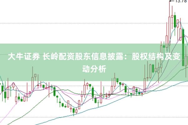 大牛证券 长岭配资股东信息披露：股权结构及变动分析