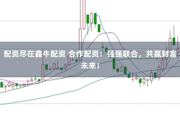 配资尽在鑫牛配资 合作配资：强强联合，共赢财富未来！