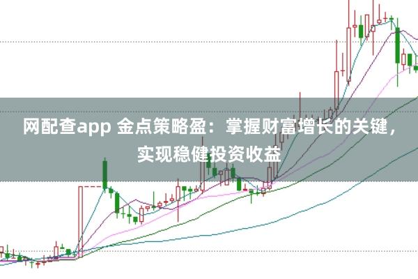网配查app 金点策略盈：掌握财富增长的关键，实现稳健投资收益