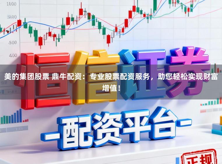 美的集团股票 鼎牛配资：专业股票配资服务，助您轻松实现财富增值！