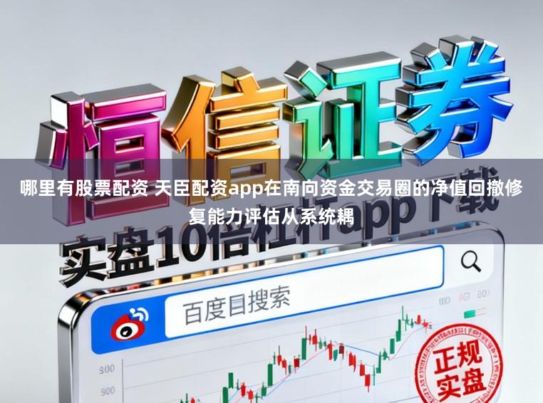 哪里有股票配资 天臣配资app在南向资金交易圈的净值回撤修复能力评估从系统耦